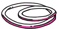Onion